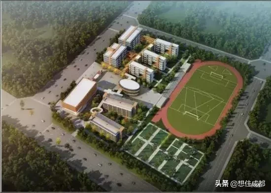 “川师系”公办名校落地大面，区域教育资源全面翻盘