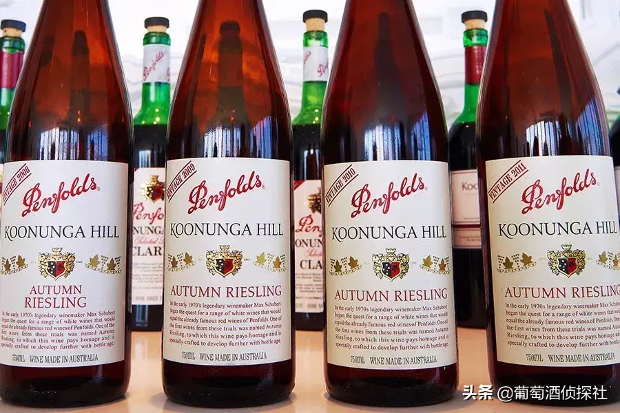 最新最全版｜奔富全系列酒款指南，强烈推荐收藏