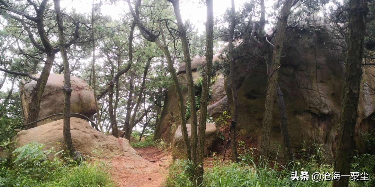 七绝 雨日游山