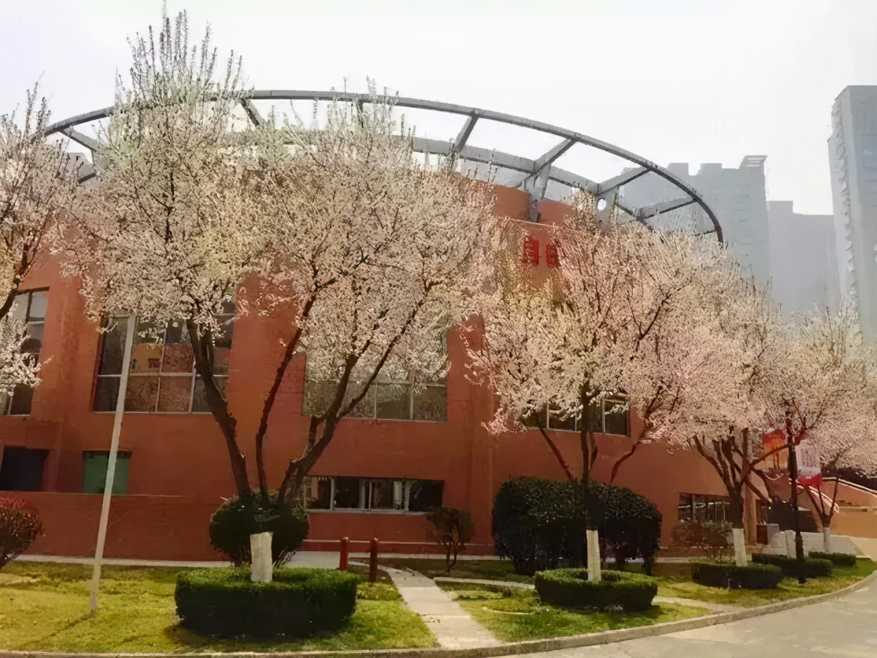 在陕西省西安中学求学是怎样的体验（一）