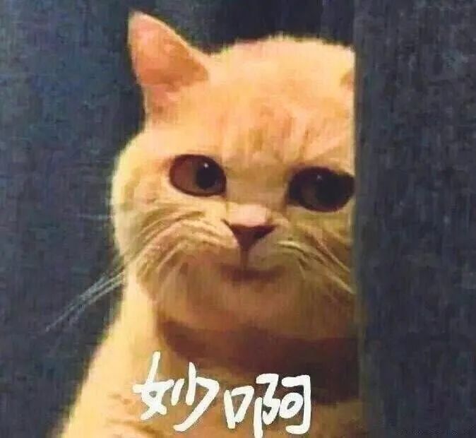 从8000教辅中选出最适合自己孩子的那一本——小学同步课时作业篇