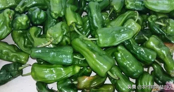 2018年蔬菜销售十大榜单新鲜出炉,谁排第一呢?