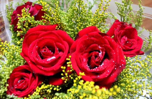 郁金花花语(郁金花花语 友谊)