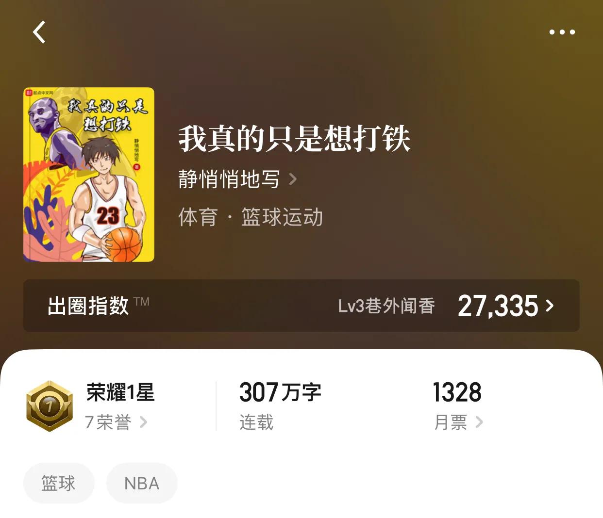 几本篮坛小说，在故事中我们看不到逝去，看到的是重新的辉煌