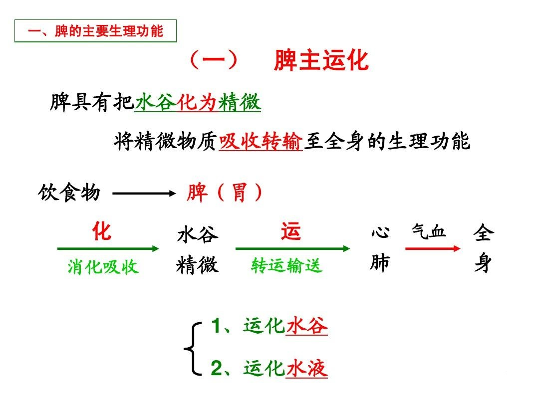 总觉得喉咙有痰，可能是脾虚！1个健脾方，燥湿化痰，让痰不再来