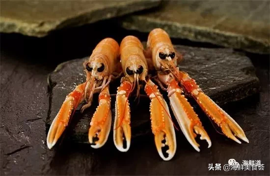 市场常见的102种海鲜，肉质鲜美，营养丰富，你们吃过几种？