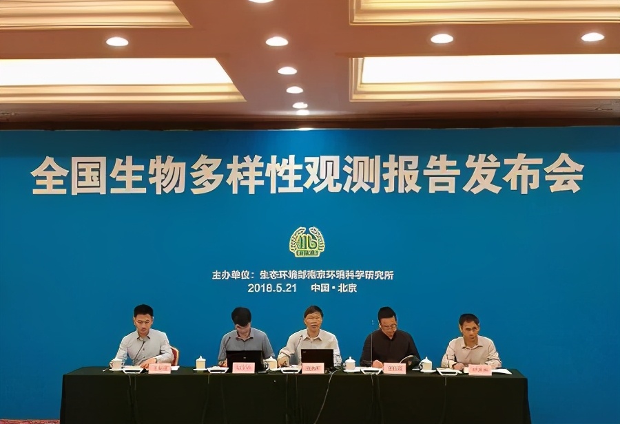蒙古狼的生存现状（曾经遍布全国的狼在我国逐渐消失了）