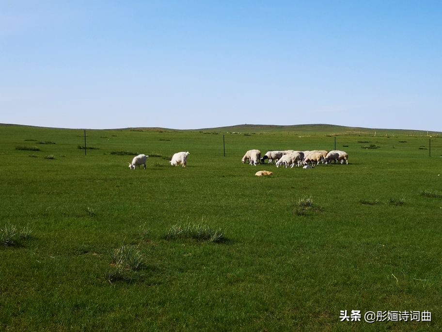 花在草原诗在心：金秋内蒙之旅古典诗词曲拾零悠情