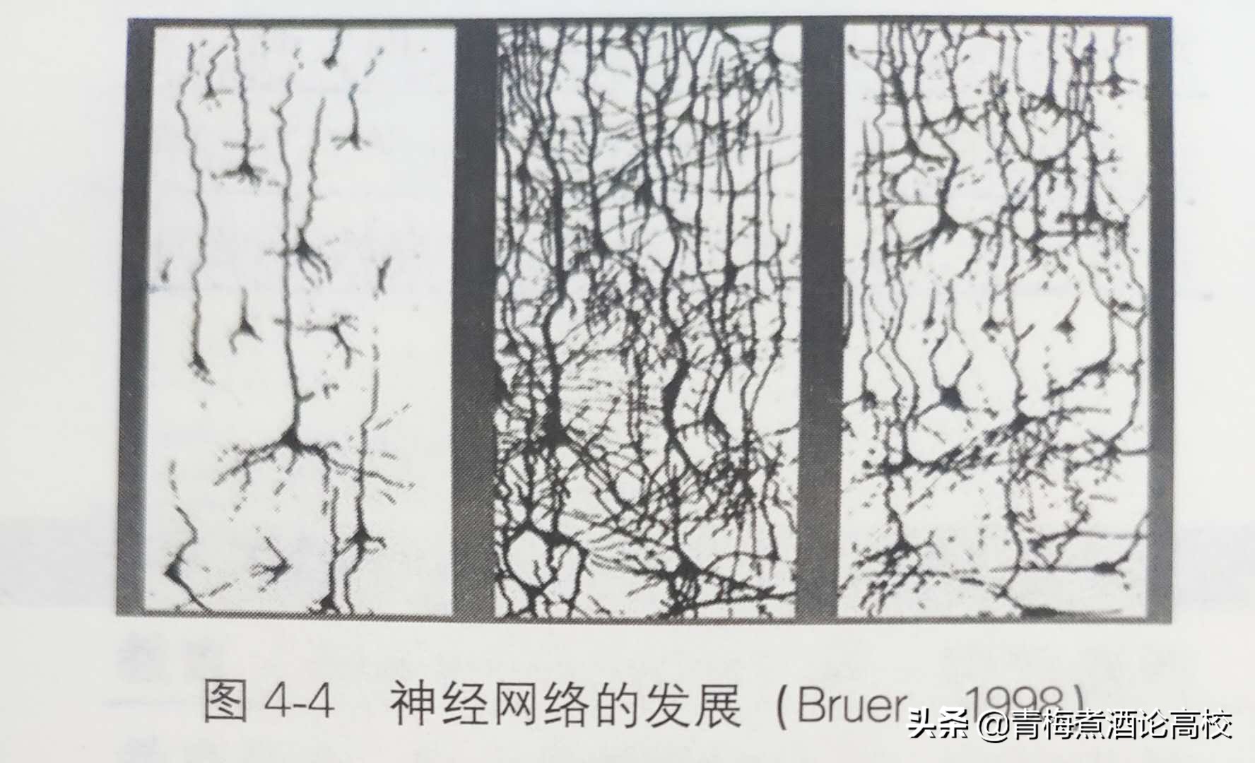 考研教育学专业课第四章（311），关注我，带你一战考研成功