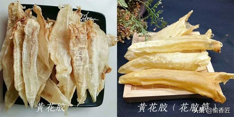 一文看懂花胶的秘密，如何以大众价格买到优质花胶？