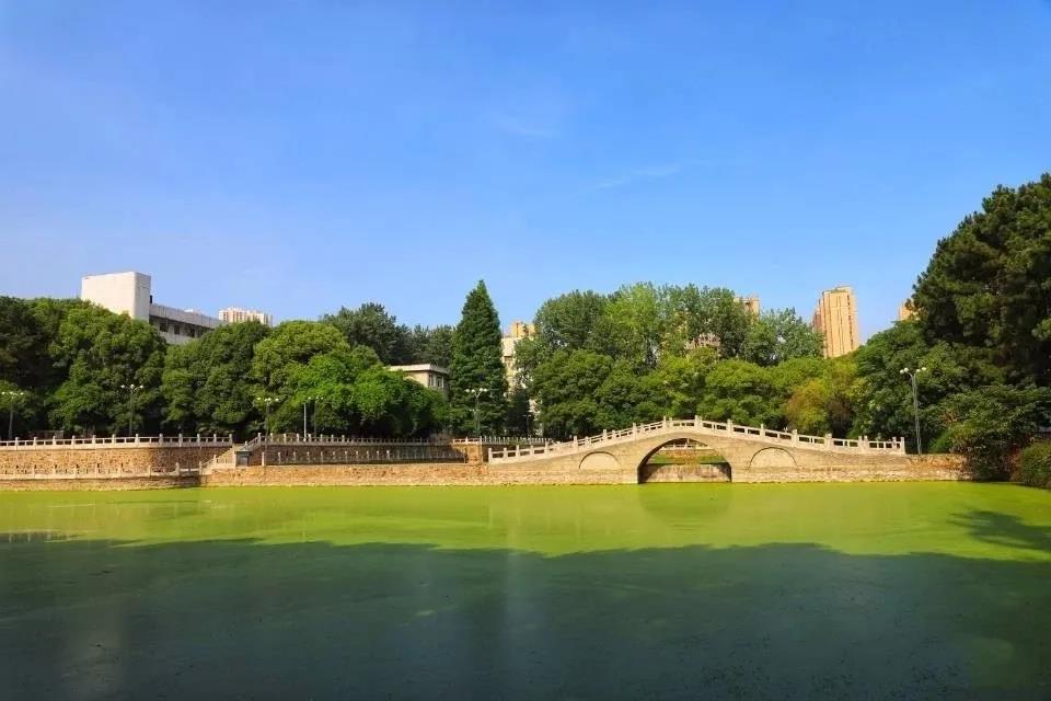 湖北省政府肯定！武汉这所高校成功引进国家级专家