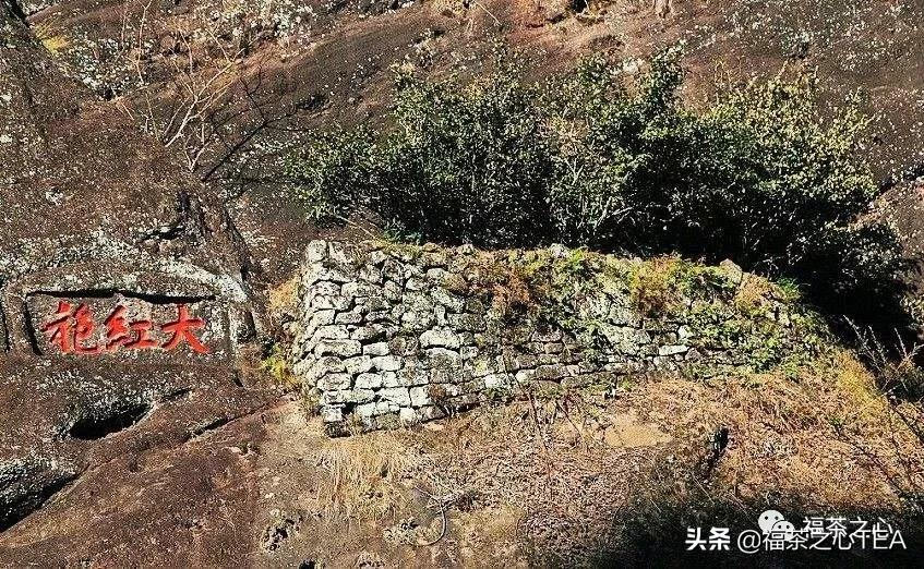 建议收藏:福建茶叶大汇总,了解福建全部茶叶看这一篇就够了