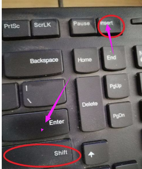 笔记本小键盘怎么开启