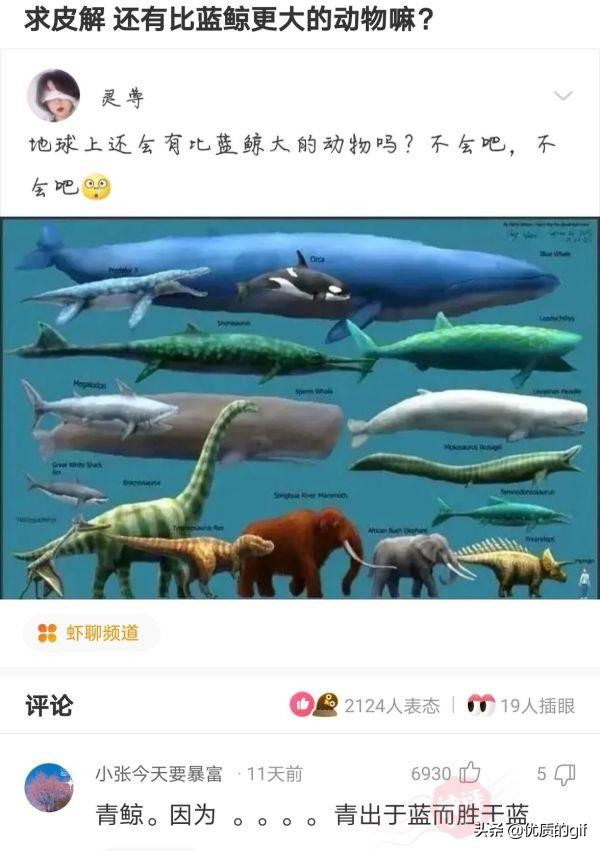 神回复：我姓秦，出生那天刚好是爷爷60大寿，所以我叫？