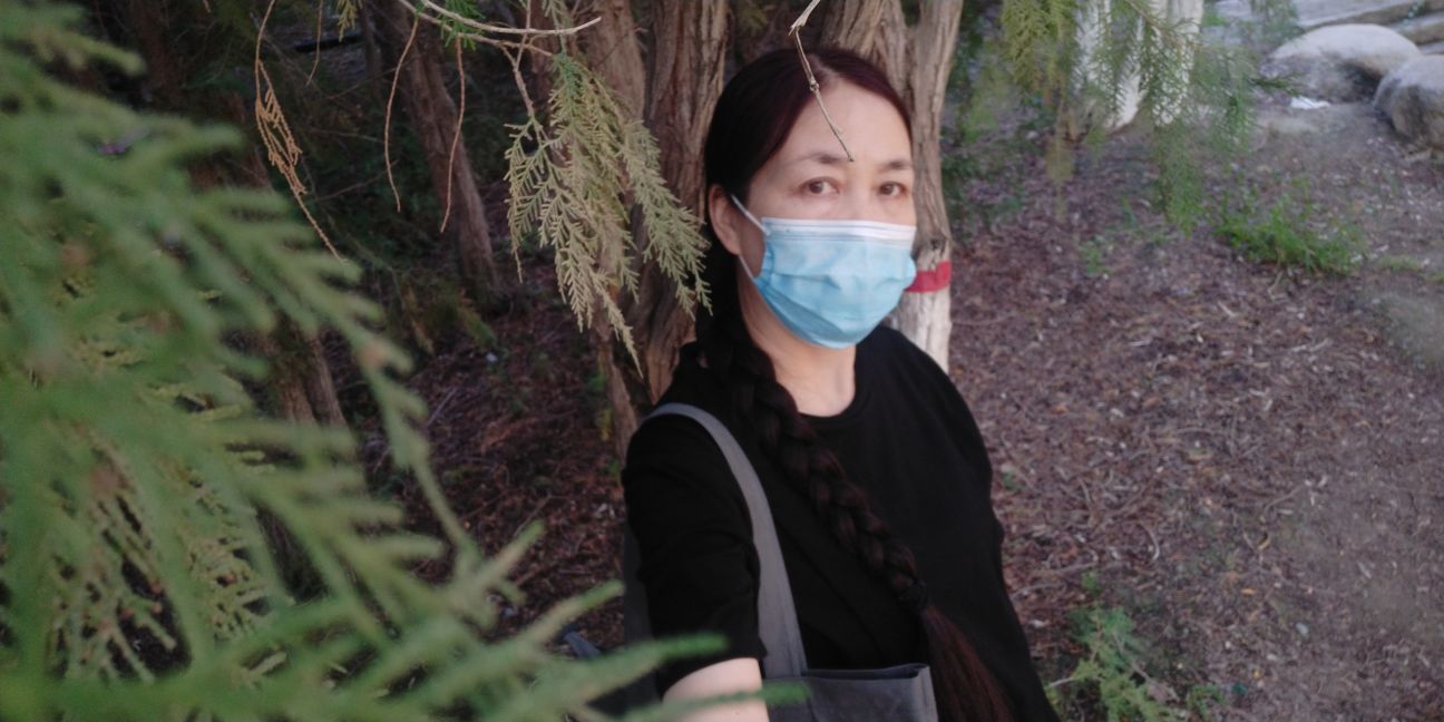 十年奔波终见曙光，岁月砥砺铸就辉煌