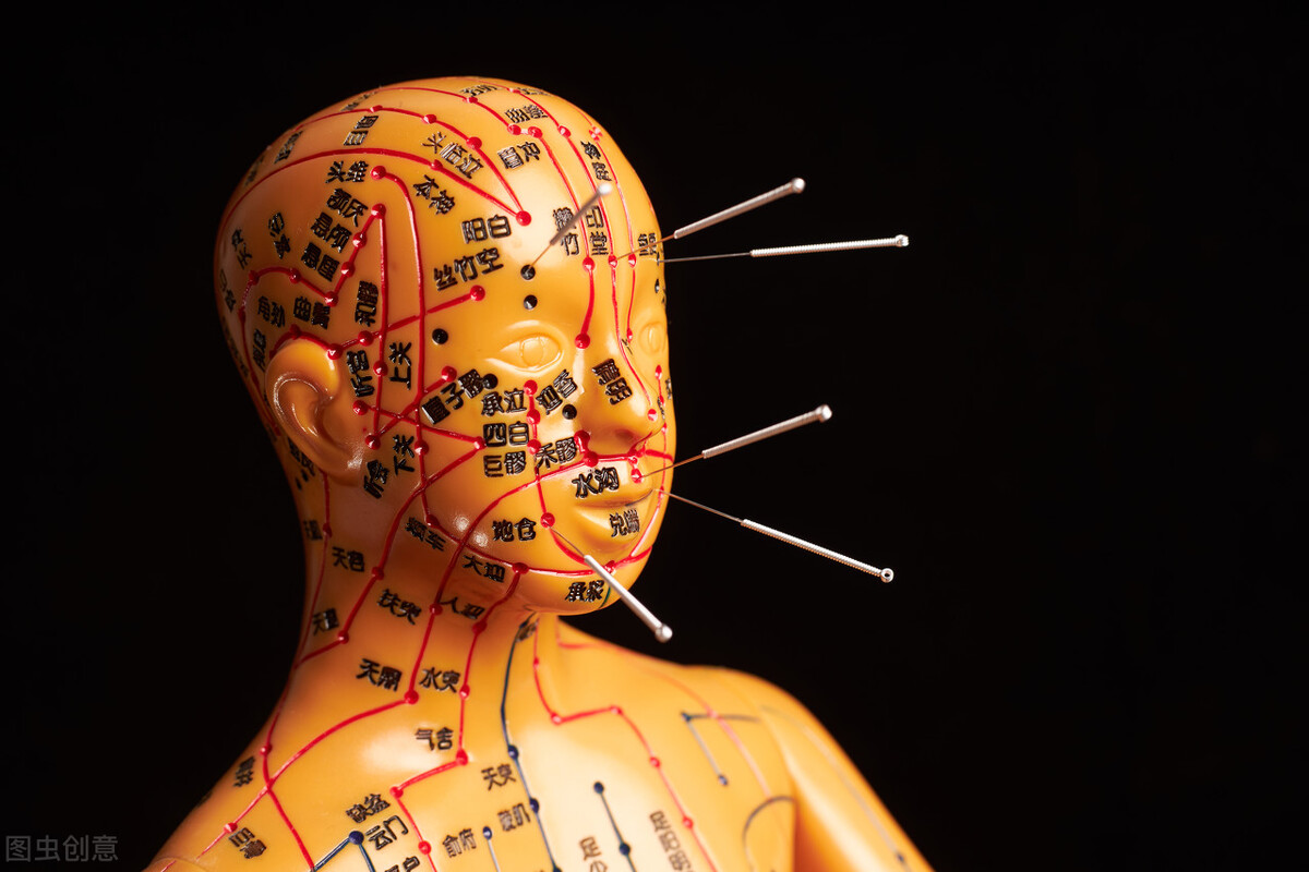 人体有多少条经络(科学家首次清晰观察到人体经脉运行) - 青木春