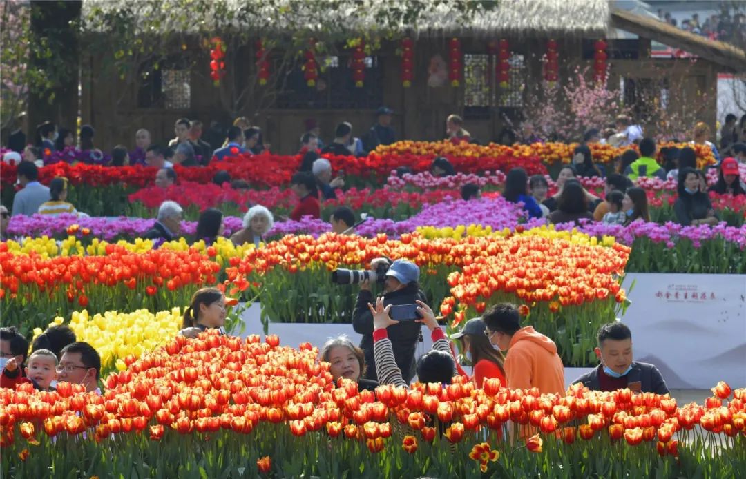 清明节去哪玩？重庆这些地方值得去踏青