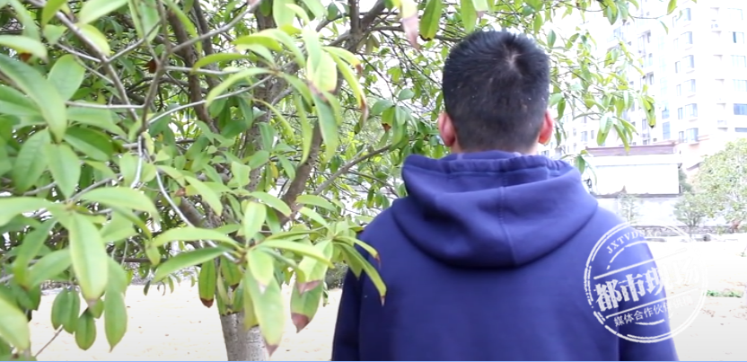 淘宝 骗子,被淘宝骗了