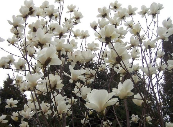 重庆工商大学2018录取分数