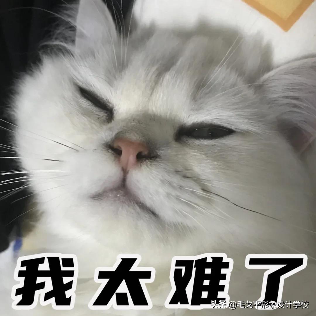 纯干货│适合化妆小白的最全通勤淡妆攻略，快收藏