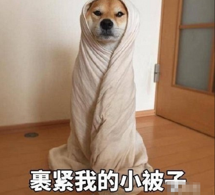 南开大学宿舍有多“开放”？可自选室友就算了，18对夫妻在校同住