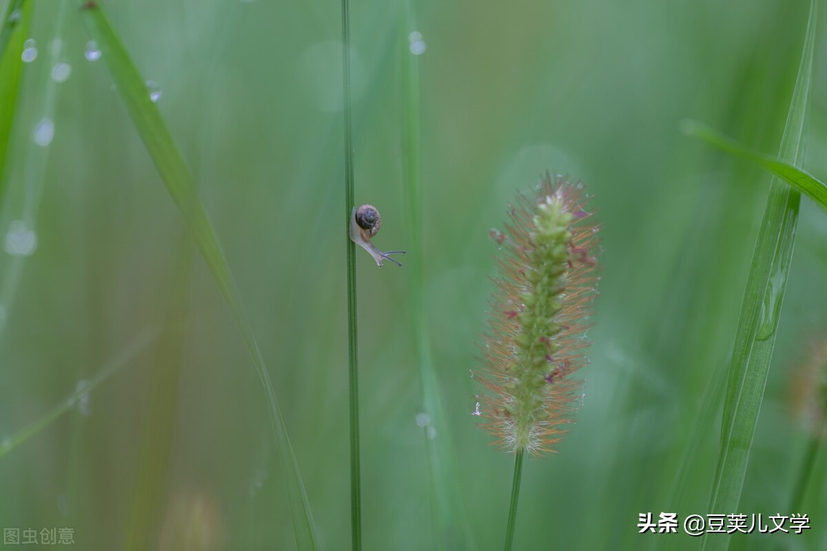 散文：我像只蜗牛一样走在路上
