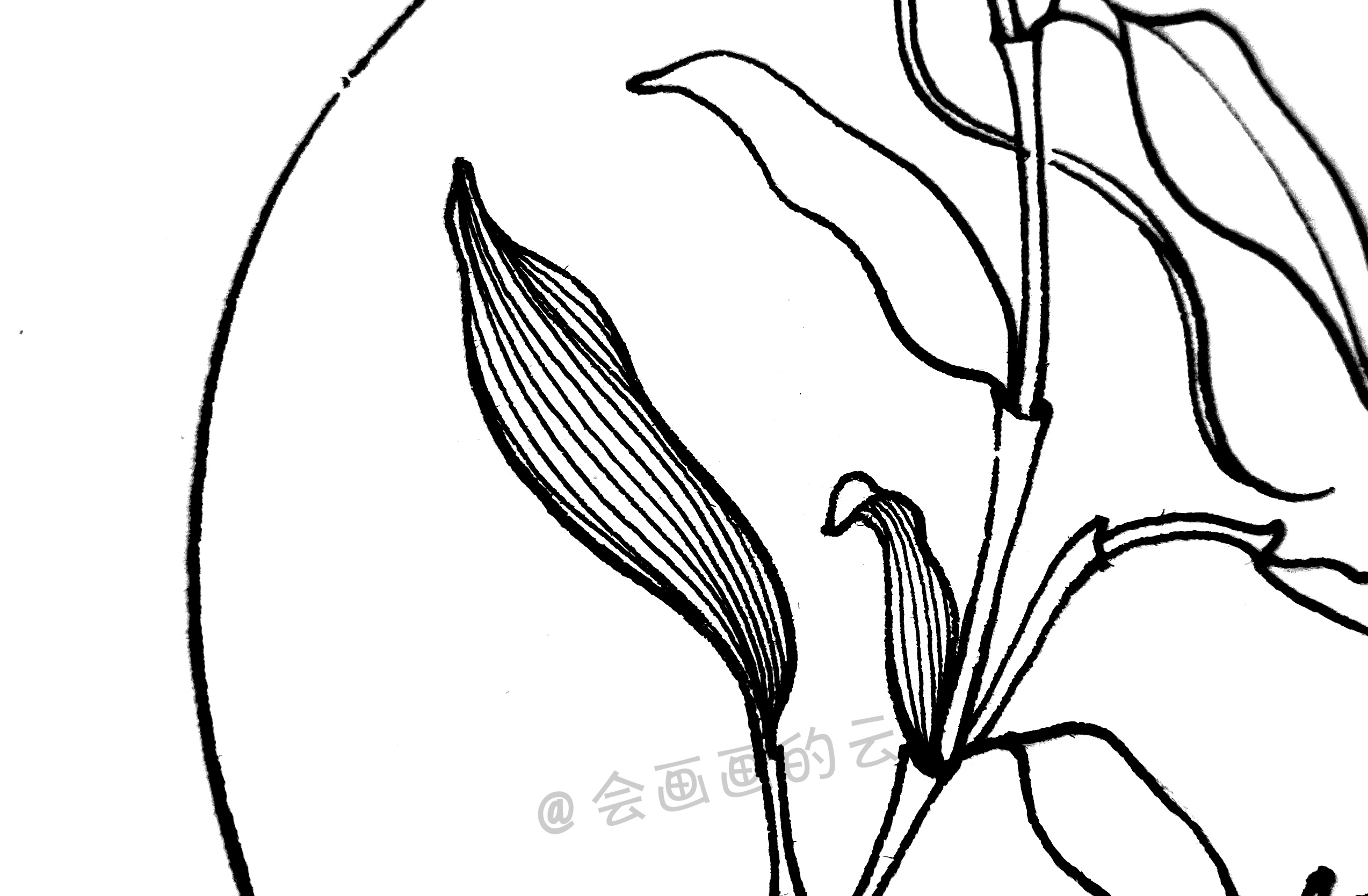 简笔画小叶子图文步骤图讲解,小白也可以画得好看