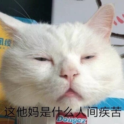 猫咪表情包合集我小猫咪的心好痛