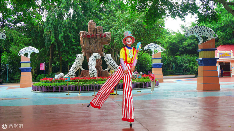 三天三夜欢乐长隆之旅（附攻略）