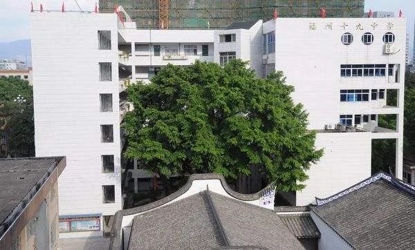 福州有哪些好初中？公办校升学率谁家强？看看有没有你的对口初中