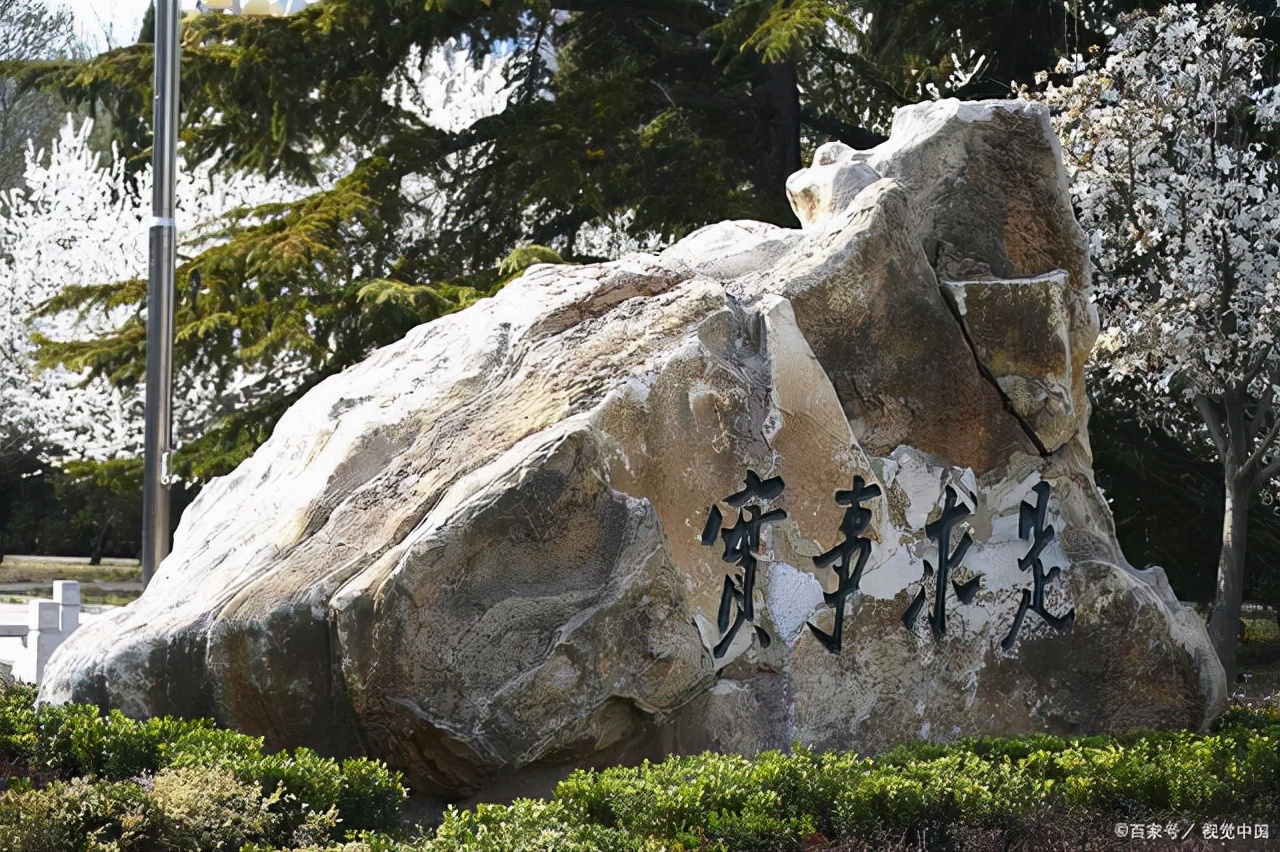 反脆弱、反矫情、反PUA，盘点那些能让你变强大的高校校训