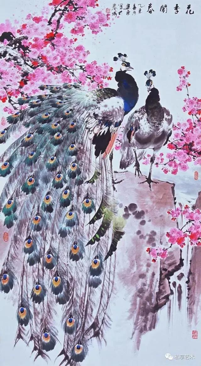 孔雀东南飞！高贵、冷艳的白孔雀