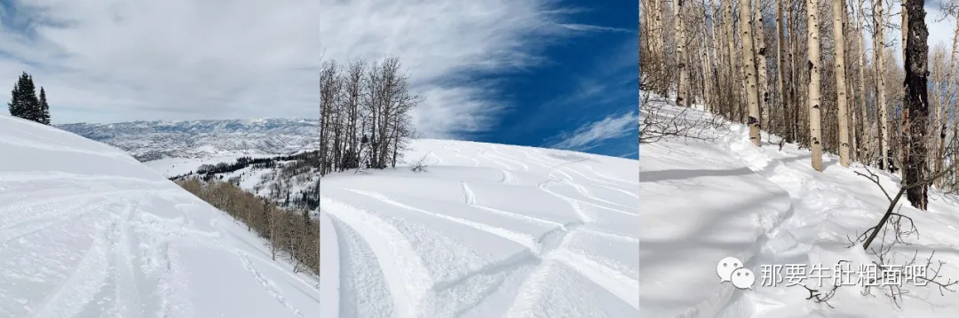 当大雪飞过那个小镇,我哪儿都不去 | 当我滑雪时我在想什么