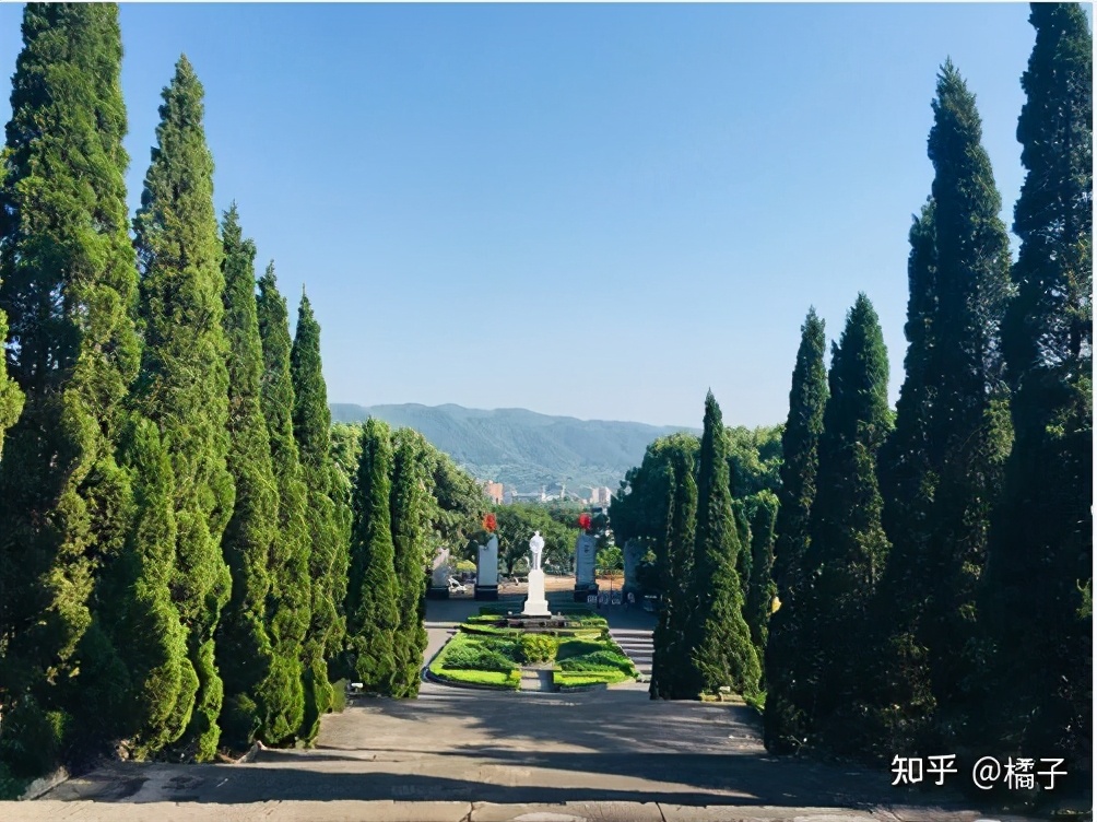 no1.纯干货分享——西南大学应用心理学专硕347考研