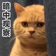 柳州装修哪家强？口碑装修公司推荐一览