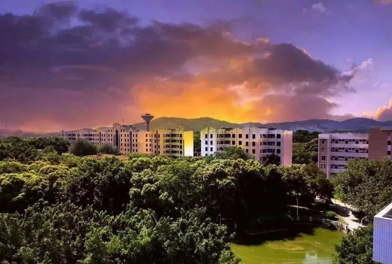 高职高考必看｜全面了解韶关学院