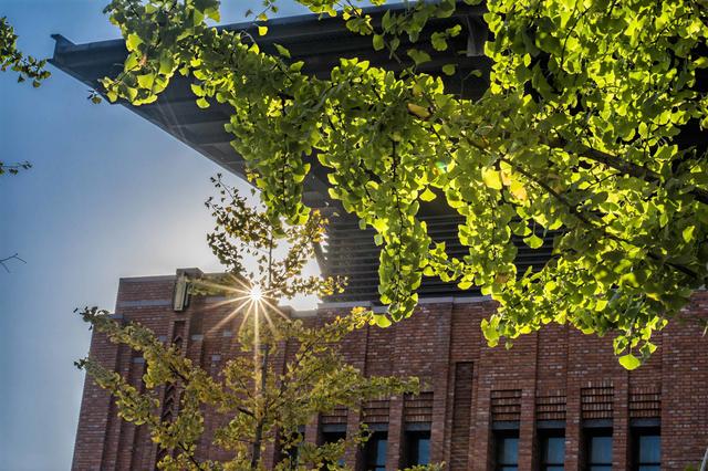 启真新论丨中国科学院院士叶志镇等：发扬浙大求是精神，聚力建设世界一流材料学科