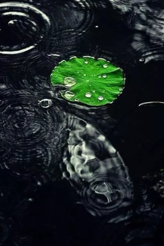 「诗词鉴赏」夏日临窗听雨，闲读诗书，感受大自然的天籁之音