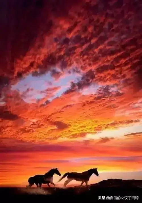 【说说心情】看夕阳西下的心情