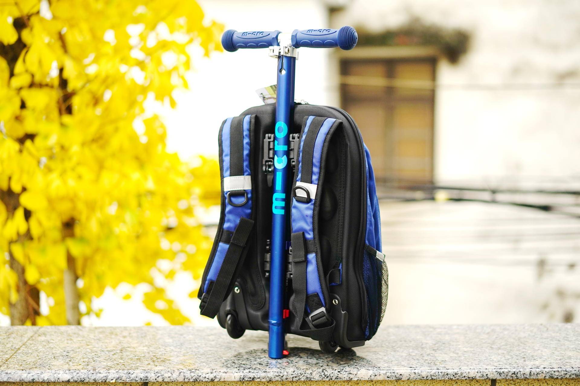 双脚滑板车价格及图片(终于挑到了一辆适合孩子滑板车) - 价格百科