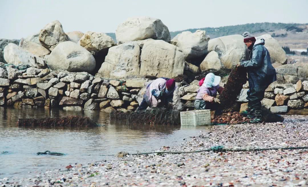 海水涨潮退潮时间表(大海涨潮退潮的原理是啥？退潮以后的海水又去哪了？看完长知识了)