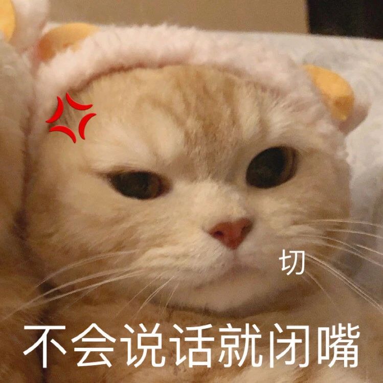 猫咪表情包​  生气专用表情包