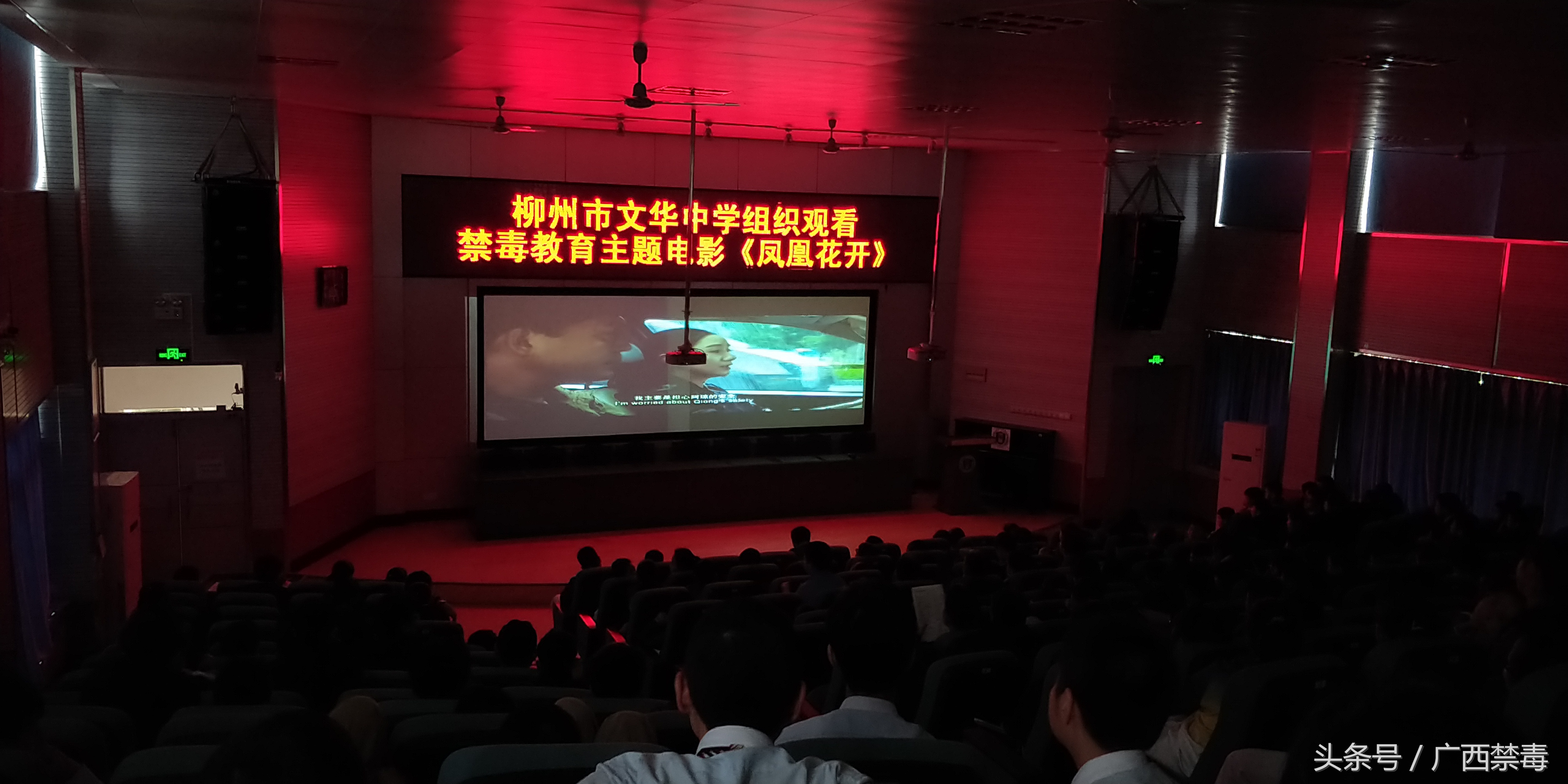 柳州市文华中学组织观看禁毒教育主题电影《凤凰花开》