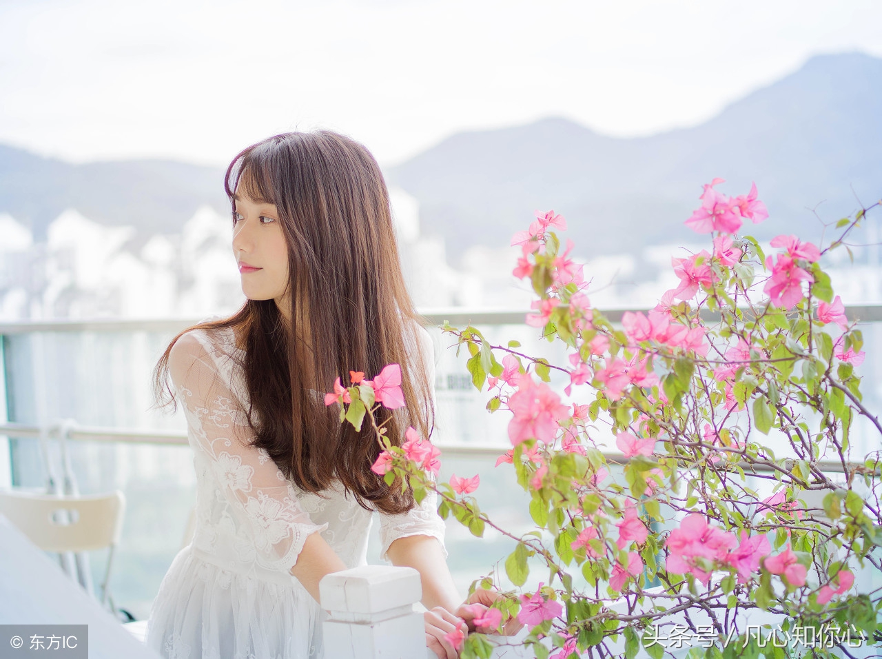 美文！三毛5句最经典的语句，那种忧伤让人压抑，又很真实美丽！