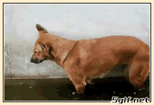 「爆笑」春节过后，第一天上班的你！哈哈哈，太生动了