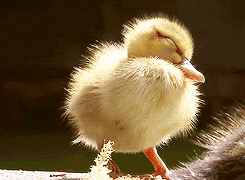 「爆笑」春节过后，第一天上班的你！哈哈哈，太生动了