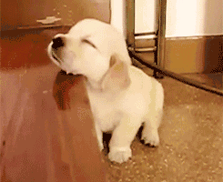 「爆笑」春节过后，第一天上班的你！哈哈哈，太生动了