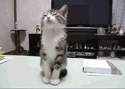 「爆笑」春节过后，第一天上班的你！哈哈哈，太生动了