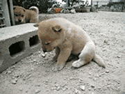 「爆笑」春节过后，第一天上班的你！哈哈哈，太生动了