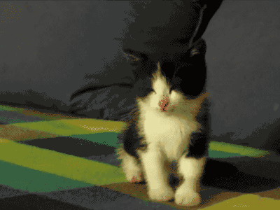 「爆笑」春节过后，第一天上班的你！哈哈哈，太生动了